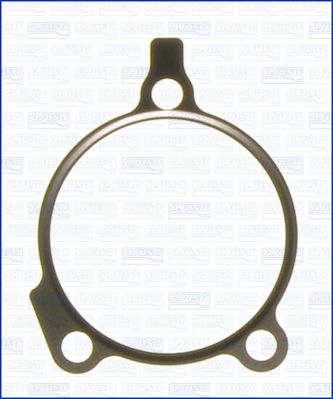 Dichtung, Turbineneinlass (Lader)