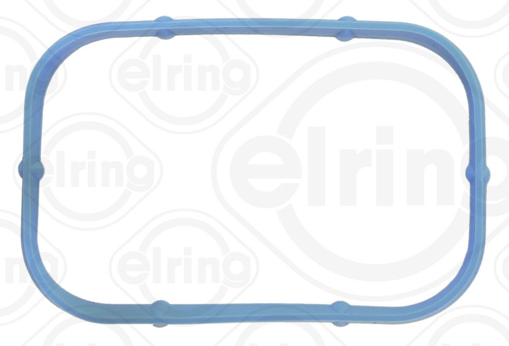 Dichtung, Ansaugkrümmergehäuse