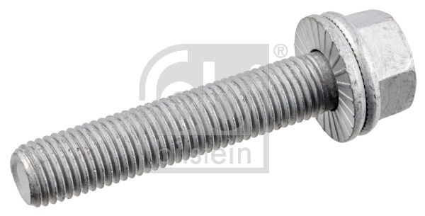 Schraube, Bremssattel