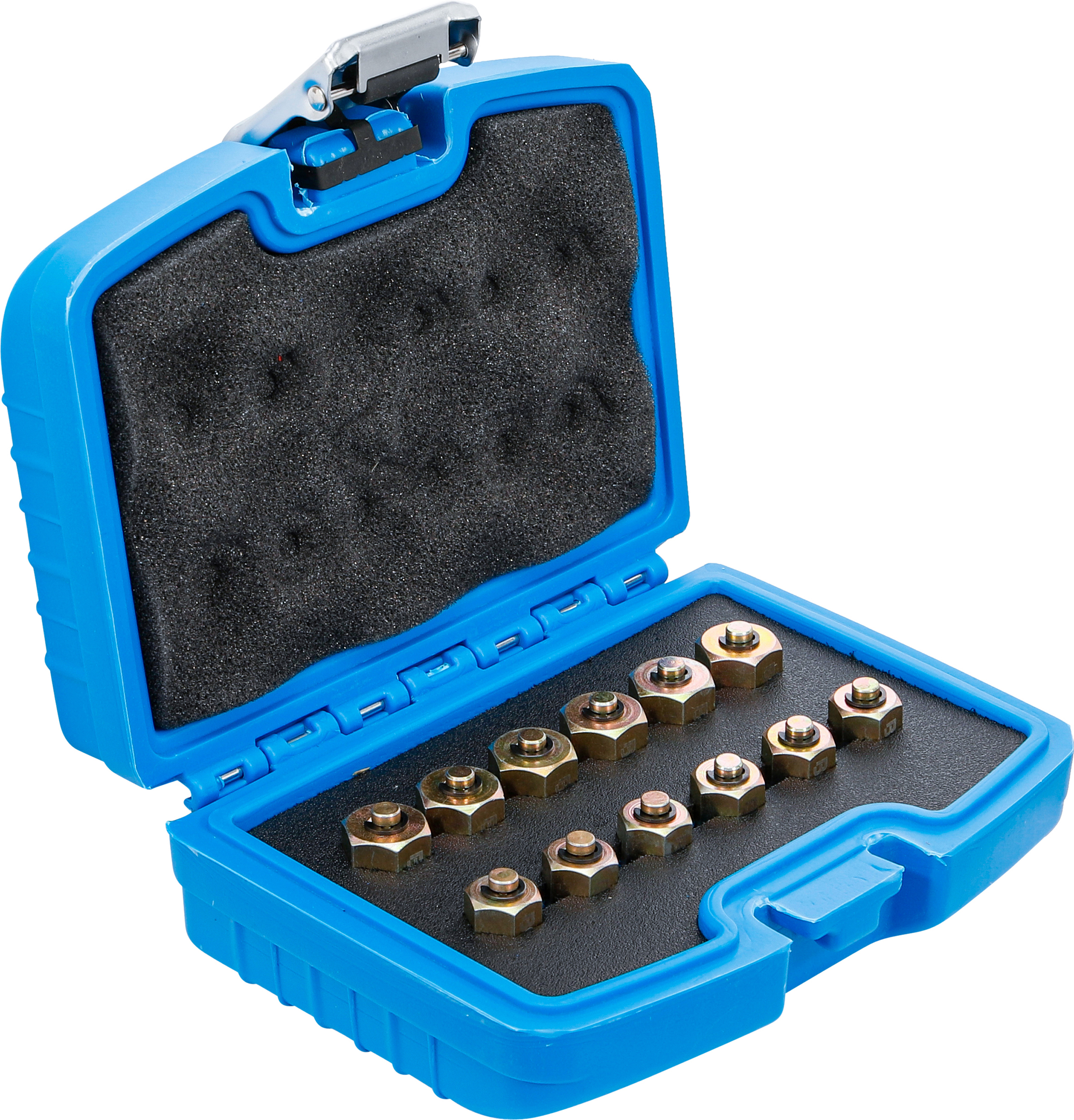 BGS Injektor-Verschlussstopfen-Satz | 12-tlg.