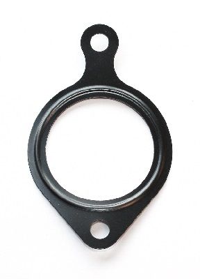 Dichtung, Ansaugkrümmergehäuse