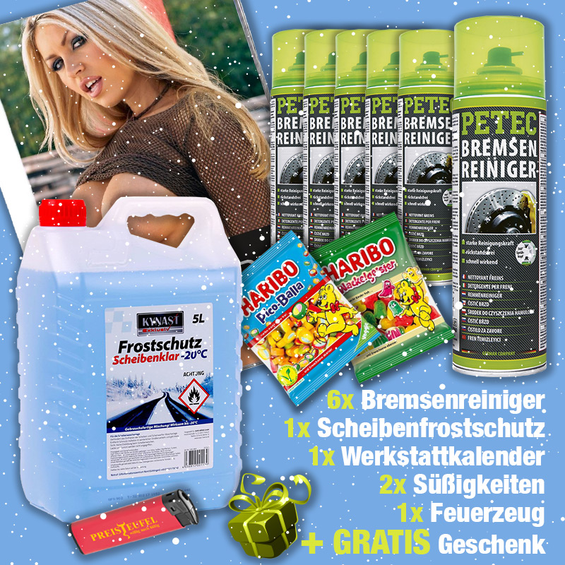 Petec Bremsenreiniger Super DEAL + Scheibenfrostschutz + VIP Sturmfeuerzeug + Haribo + Geschenk + Werkstattkalender 2026 GRATIS