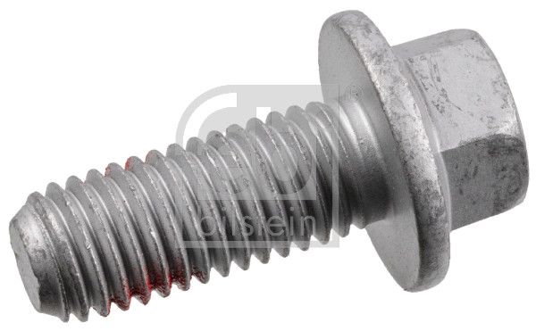 Schraube, Bremssattel