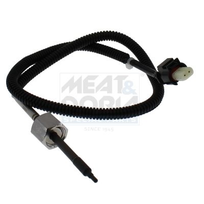 Sensor, Abgastemperatur