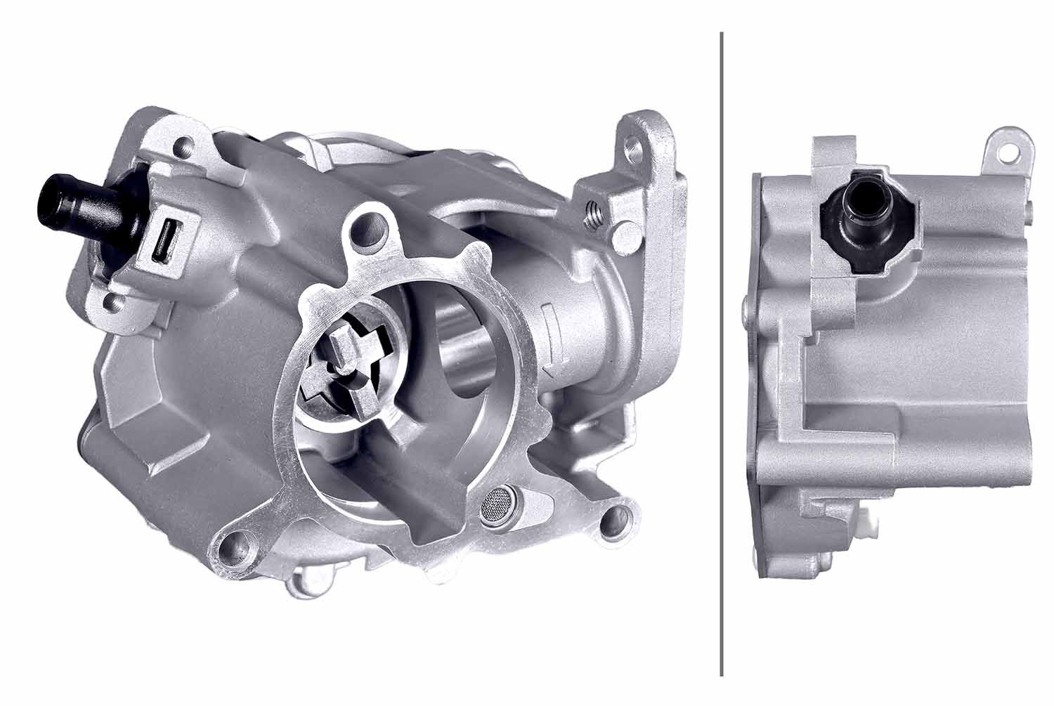 Unterdruckpumpe, Bremsanlage