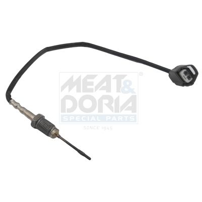 Sensor, Abgastemperatur