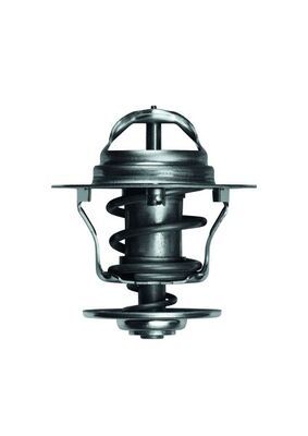 Thermostat, Kühlmittel