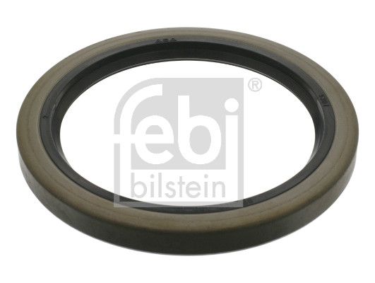 Wellendichtring, Radnabe