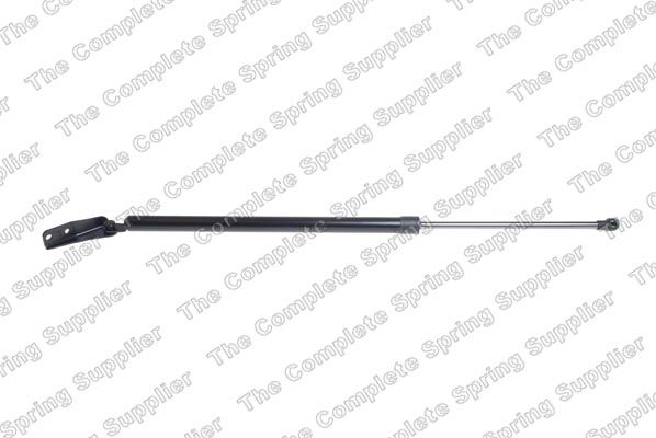 Gasfeder, Koffer-/Laderaum