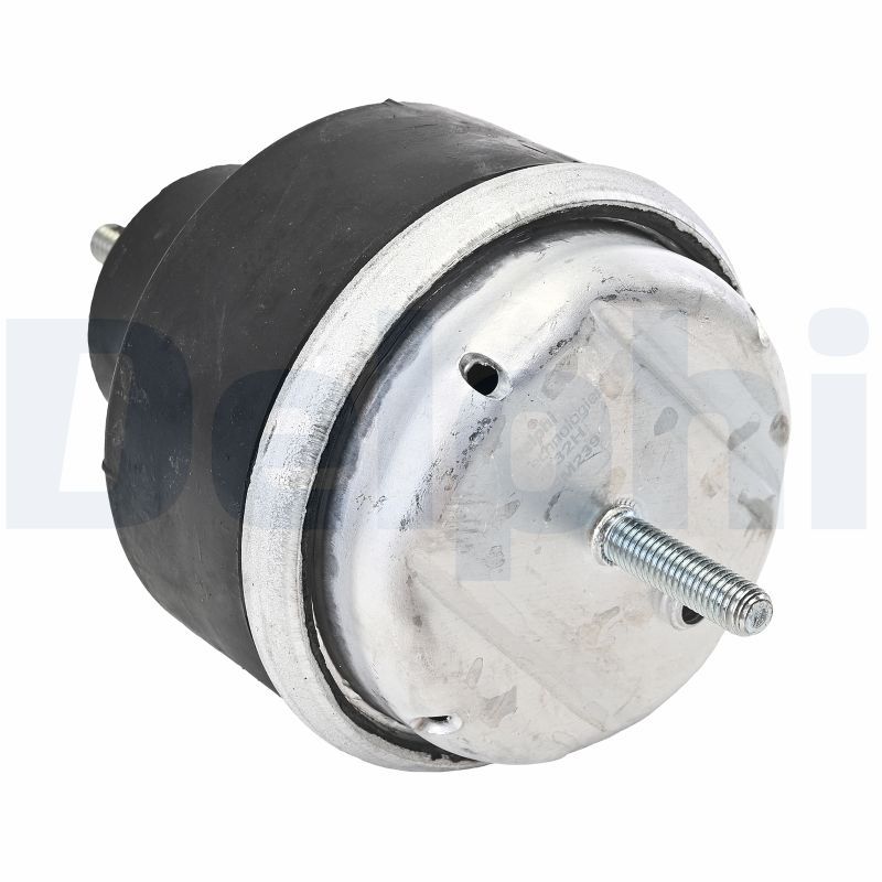 Lagerung, Motor “DELPHI links ”