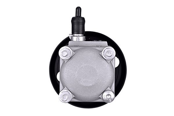 Hydraulikpumpe, Lenkung