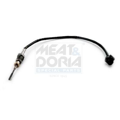 Sensor, Abgastemperatur