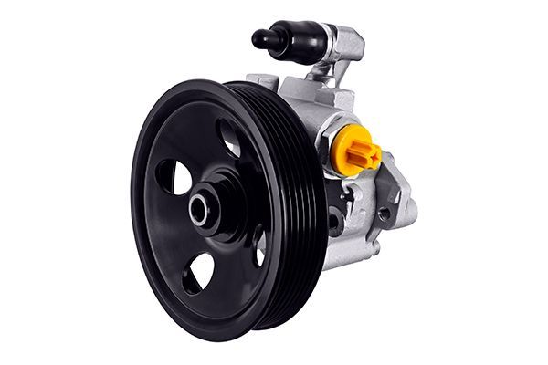 Hydraulikpumpe, Lenkung