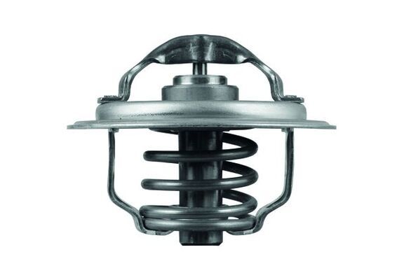 Thermostat, Kühlmittel