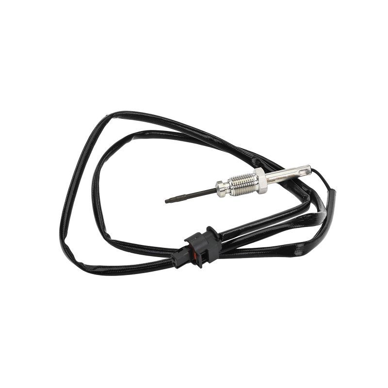 Sensor, Abgastemperatur