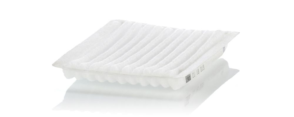 Filter, Innenraumluft