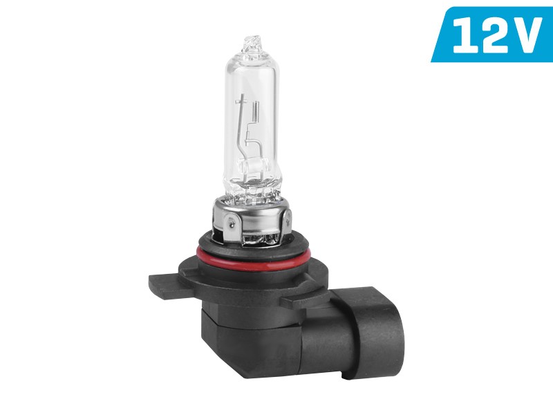 Vision HIR2 Glühlampe PX22d 12V 55W Autolampe Nebelscheinwerfer