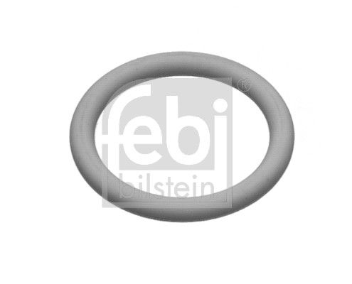 Dichtring, Bremsbacke