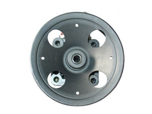 Hydraulikpumpe, Lenkung