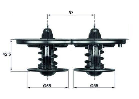 Thermostat, Kühlmittel