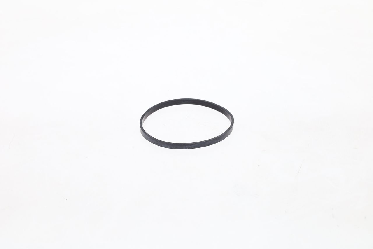 Pumpenelement (dichtung)