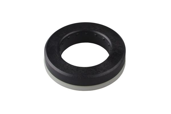 Wälzlager, Federbeinstützlager