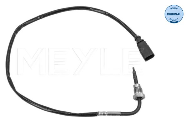 Sensor, Abgastemperatur