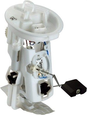 Kraftstofffördermodul