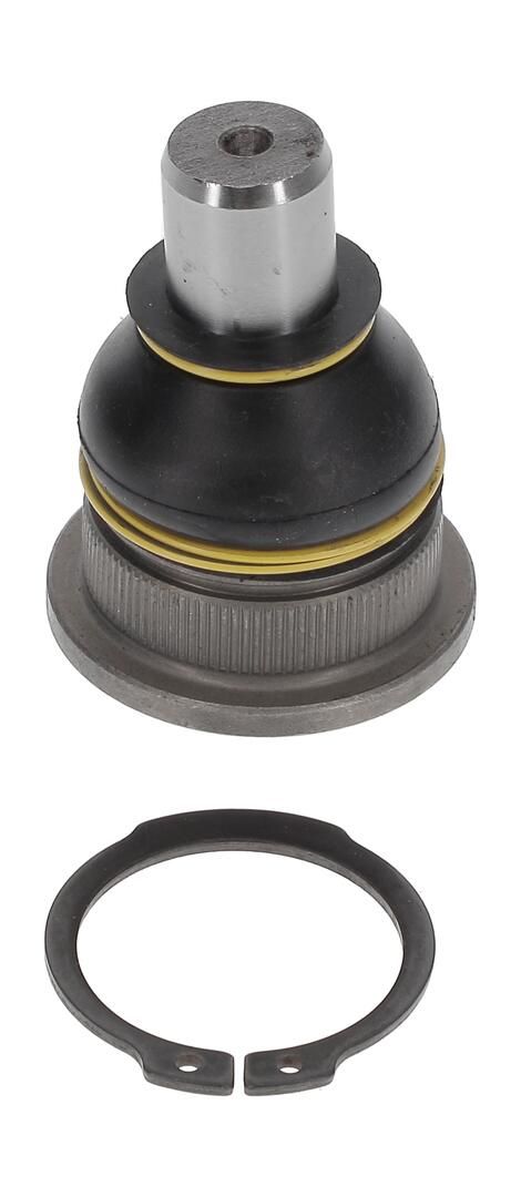 Trag-/Führungsgelenk