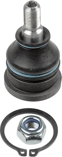 Trag-/Führungsgelenk