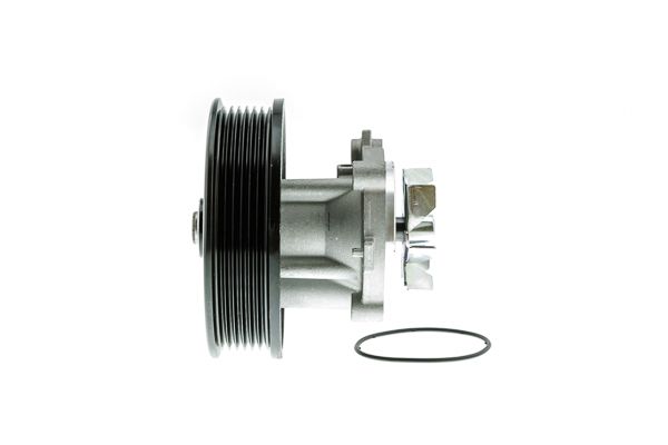 Wasserpumpe, Motorkühlung