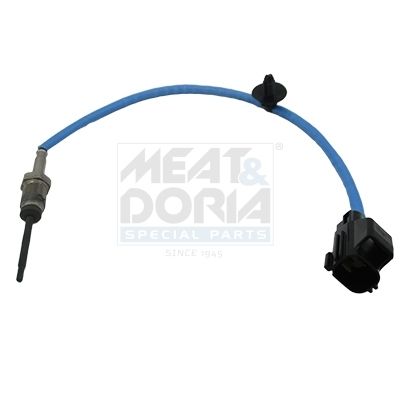 Sensor, Abgastemperatur