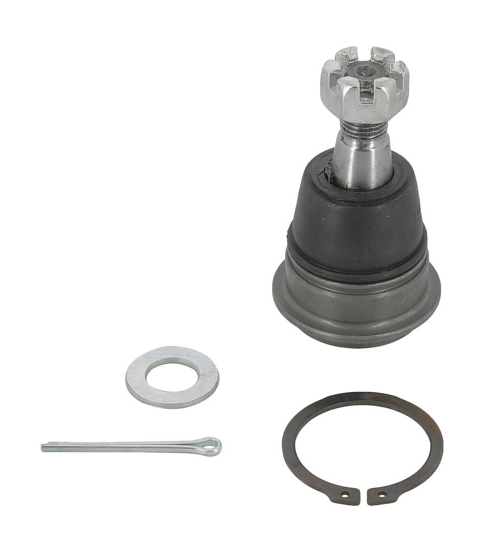 Trag-/Führungsgelenk