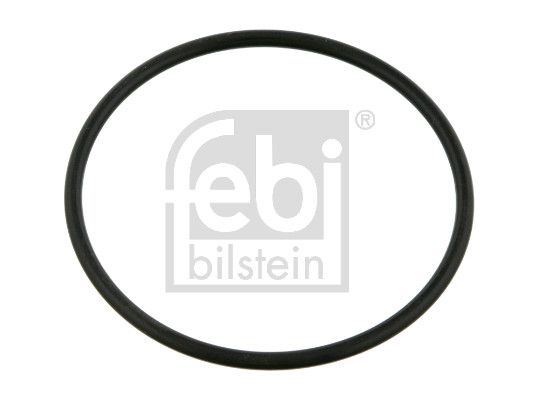 Dichtring, Achsschenkel