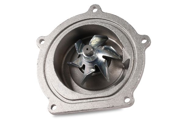 Wasserpumpe, Motorkühlung