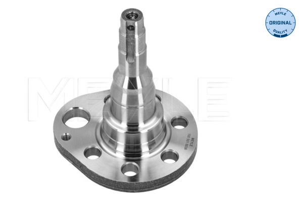 Achszapfen, Achskörper