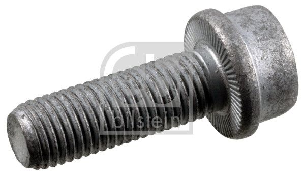 Schraube, Bremssattel