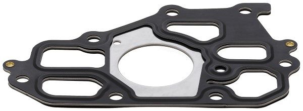 Dichtung, Kühlmittelflansch